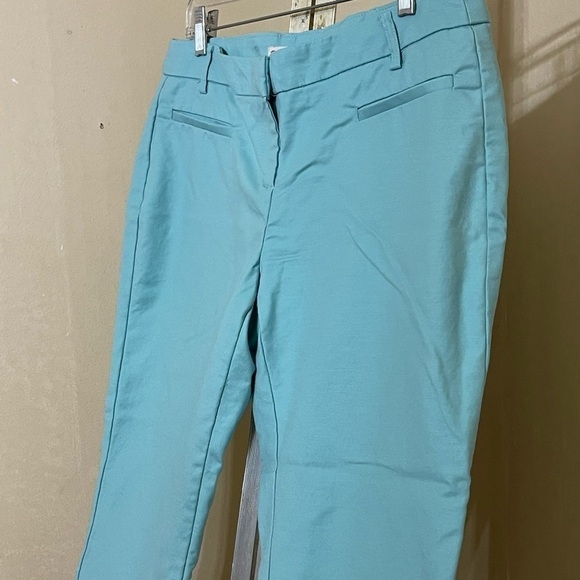 LILA ROSE TEAL FRONT POCKET / PLAIN FRONT CAPRI PANTS SZ 10 - Picture 3 of 6